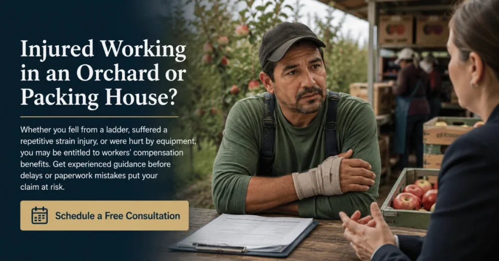 Injured orchard worker meeting with an attorney beside apple bins to discuss workers’ compensation benefits after a job-related injury in Oregon.
