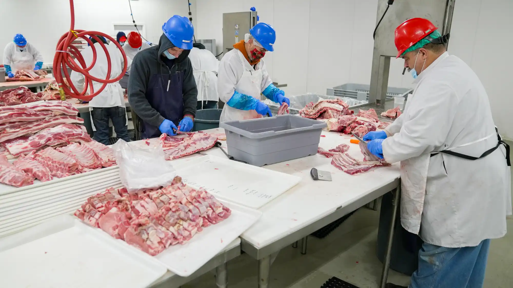Food Processing Worker Injuries in Oregon Hazards and Rights in the Columbia Basin Food processing workers cutting and packaging meat in an Oregon processing plant while following workplace safety procedures.